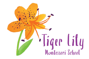 Tiger Lily Preschool East Providence RI